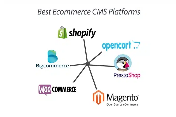 Best Ecommerce Platforms for Website Development